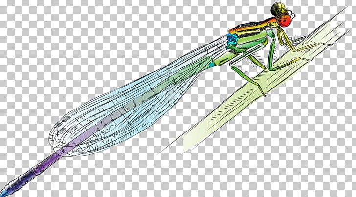 Drawing Damselfly Illustration PNG, Clipart, Balloon Cartoon, Boy Cartoon, Branches, Can Stock Photo, Car Free PNG Download