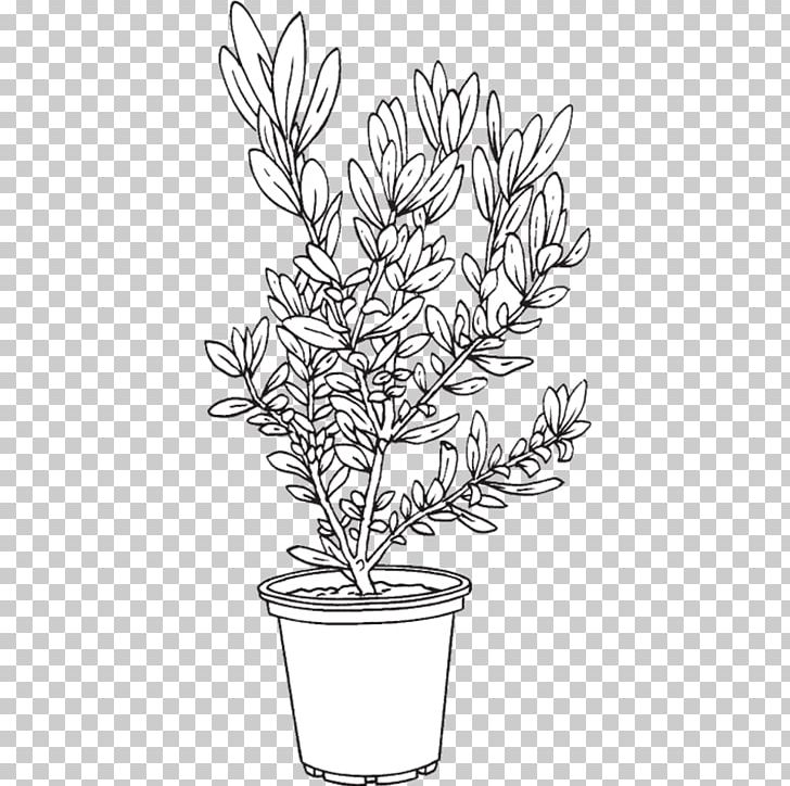 Twig Flowerpot Food Plant Stem PNG, Clipart, Black, Black And White, Branch, Drinkware, Flora Free PNG Download