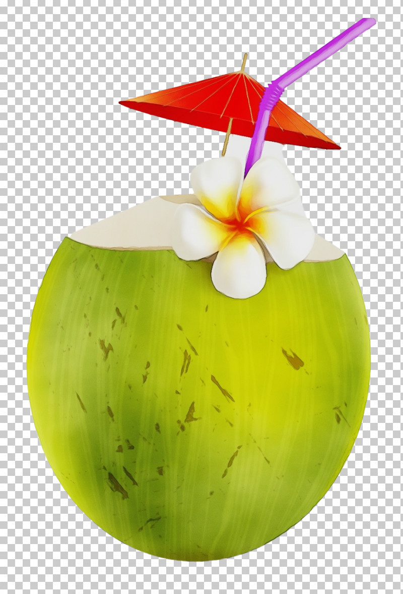 Coconut PNG, Clipart, Cartoon, Coconut, Coconut Water, Drawing, Orange Juice Free PNG Download