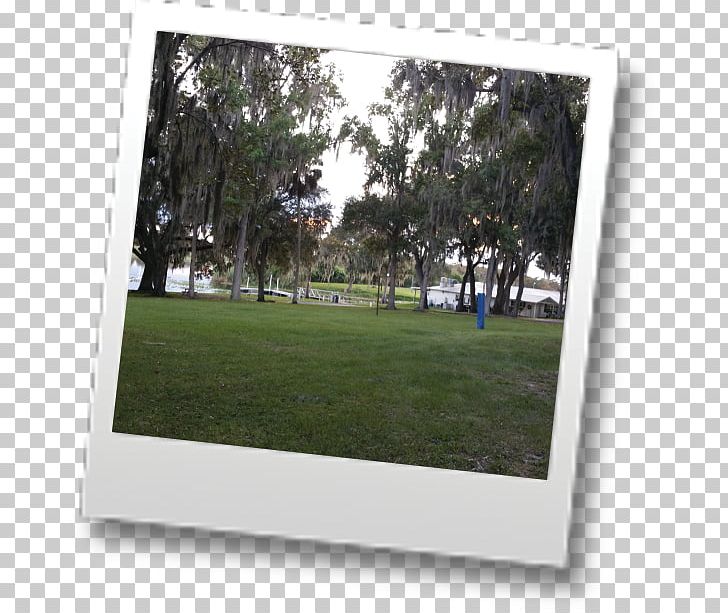 Window Lawn Frames Rectangle PNG, Clipart, Furniture, Grass, Homosassa River Rv Resort, Lawn, Picture Frame Free PNG Download