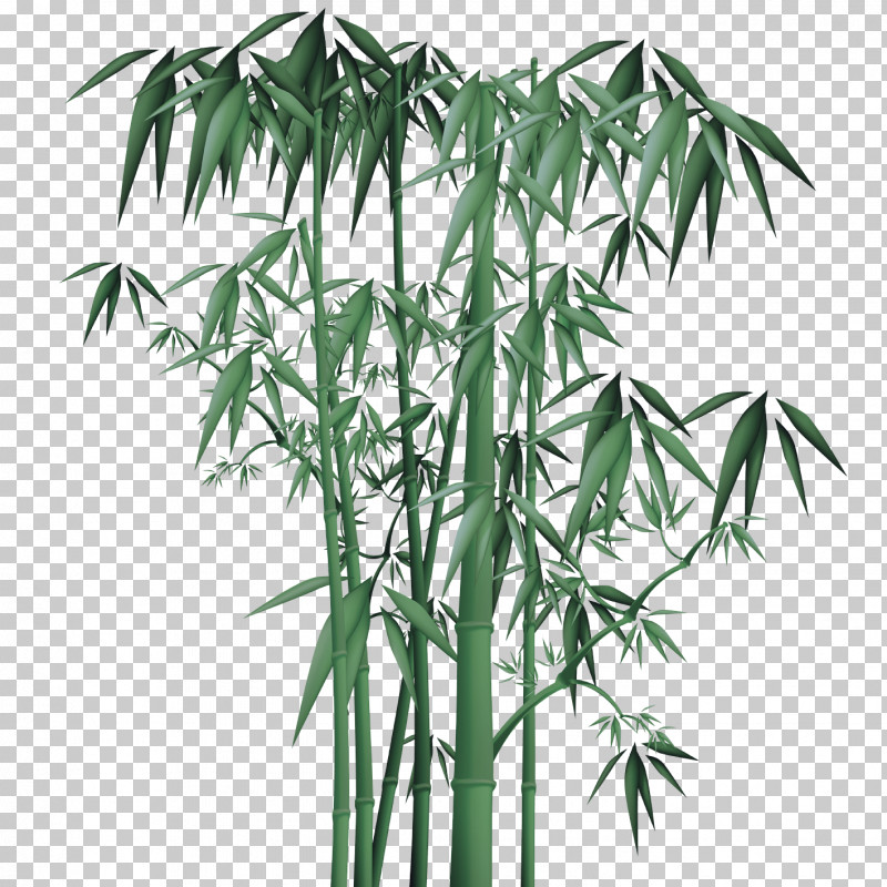 Plant Stem Bamboo Arecales Tree Flowerpot PNG, Clipart, Arecales, Bamboo, Biology, Flowerpot, Plant Free PNG Download