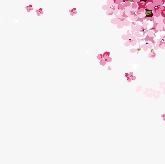 Flowers PNG, Clipart, Floral, Flowers Clipart, Petal, Pink Free PNG Download