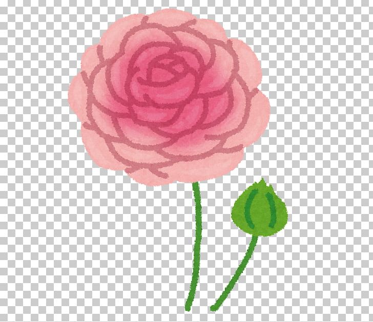 Garden Roses Petal いらすとや Buttercup PNG, Clipart, Buttercup, Cut Flowers, Flower, Flowering Plant, Garden Roses Free PNG Download