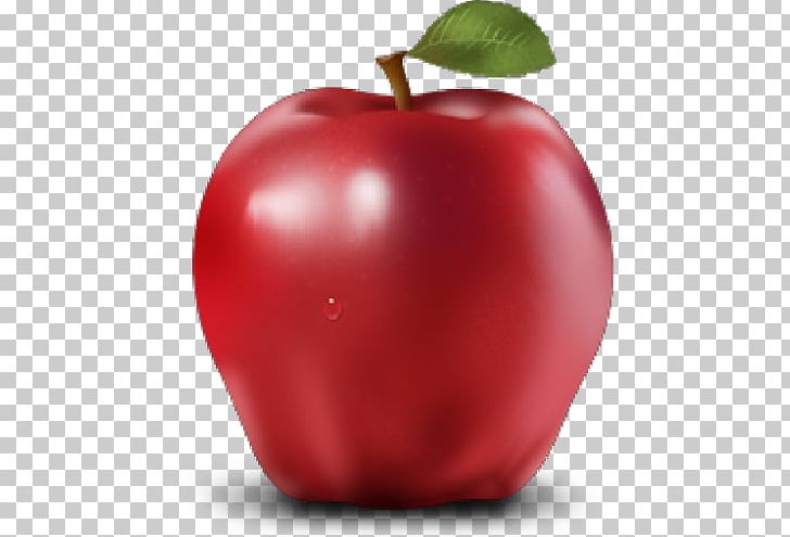 Apple Computer Icons PNG, Clipart, Accessory Fruit, Acerola, Acerola Family, Apple, Computer Icons Free PNG Download