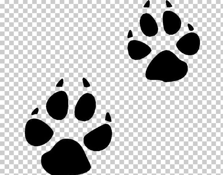 Bear Animal Track Squirrel Footprint PNG, Clipart, Animal, Animal Track, Bear, Black, Black And White Free PNG Download