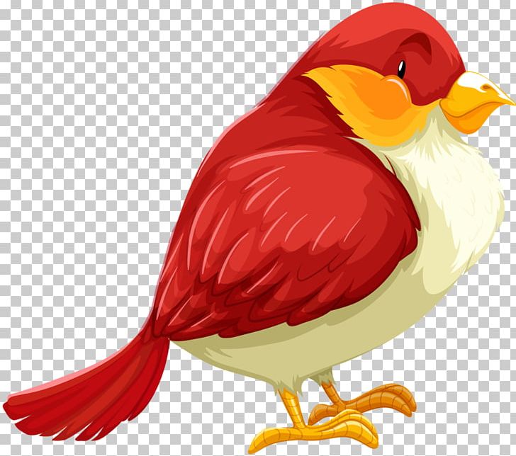 Bird Illustration PNG, Clipart, Animals, Art, Author, Beak, Be Quiet Free PNG Download