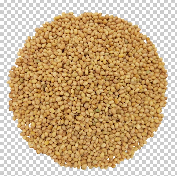 Cereal Germ Seed Red Clover Crimson Clover Sprouting PNG, Clipart, Alfalfa, Bean, Broccoli Sprouts, Cereal, Cereal Germ Free PNG Download