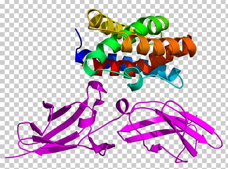 Interleukin 22 Interleukin 10 Interleukin-2 Protein PNG, Clipart, Animal Figure, Area, Art, Artwork, Cell Free PNG Download