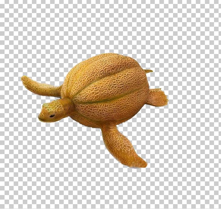 Cantaloupe Nectar Kiwifruit Vegetable Carving PNG, Clipart, Animals, Auglis, Banana, Cantaloupe, Carving Free PNG Download