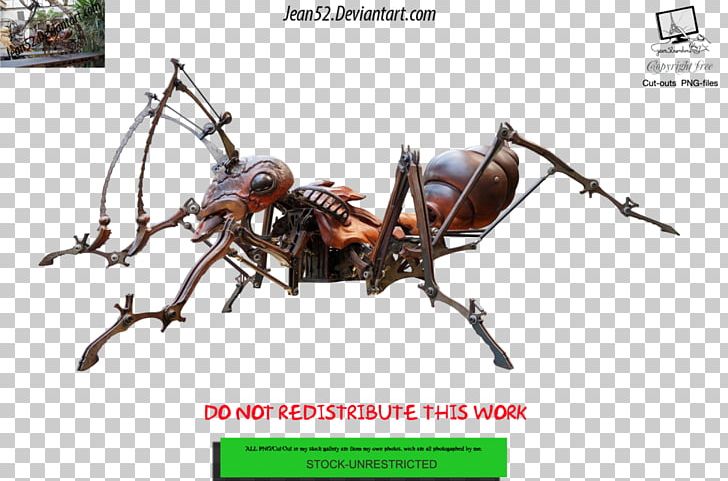 Insect PNG, Clipart, Ancient One, Animal, Ant, Art, Arthropod Free PNG Download