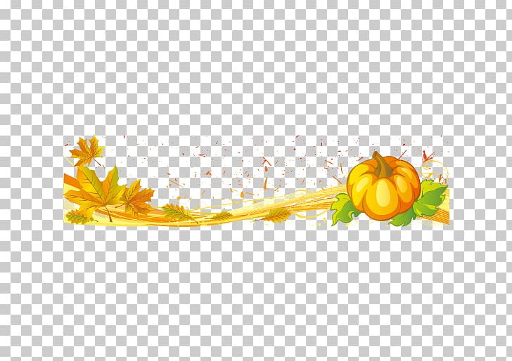 New Hampshire Pumpkin Festival Halloween Jack-o'-lantern PNG, Clipart, Decorative Elements, Design Element, Elements, Festival, Festive Elements Free PNG Download