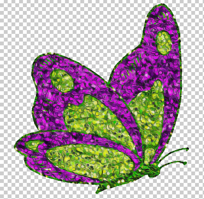 Butterfly Leaf Purple Violet Moths And Butterflies PNG, Clipart, Butterfly, Insect, Leaf, Moths And Butterflies, Plant Free PNG Download