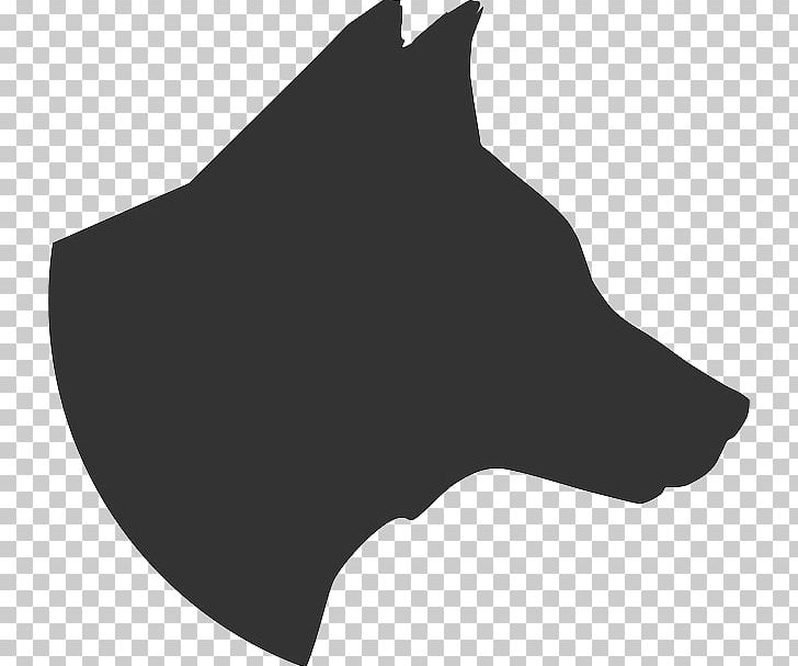 Boston Terrier Pit Bull Boxer Rottweiler PNG, Clipart, Black, Black And White, Boston Terrier, Boxer, Canis Free PNG Download