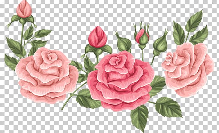 Garden Roses Cabbage Rose Floribunda Flower Floral Design PNG, Clipart, Artificial Flower, Author, Cut Flowers, Floristry, Flower Arranging Free PNG Download
