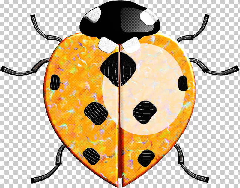 Insect Yellow Beetle PNG, Clipart, Beetle, Insect, Yellow Free PNG Download