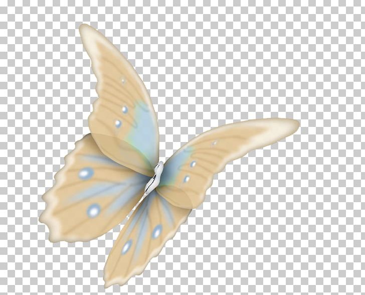 Butterfly Moth Animal .tr PNG, Clipart, Album, Animal, Beautiful Butterfly, Blue Butterfly, Butterflies And Moths Free PNG Download