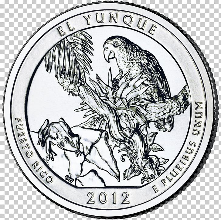 El Yunque National Forest Chaco Culture National Historical Park Yosemite National Park Denali National Park And Preserve Quarter PNG, Clipart, Bird, Fauna, Fictional Character, National Park, Park Free PNG Download