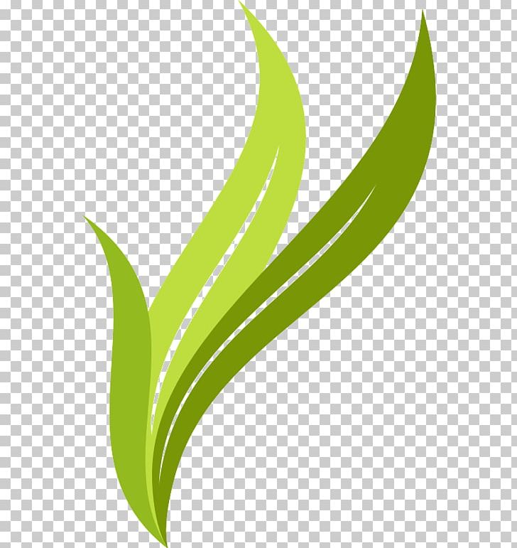 Leaf Logo Brand PNG, Clipart, Brand, Grass, Green, Leaf, Line Free PNG Download