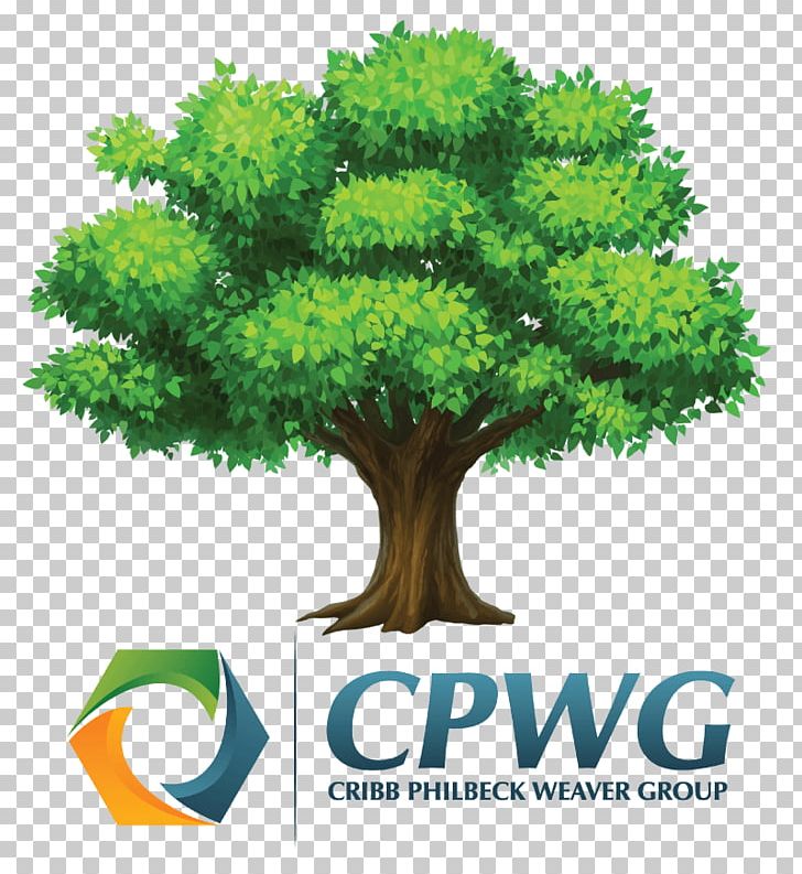 Tree Christmas PNG, Clipart, Christmas Tree, Computer Icons, Digital Image, Download, Flowerpot Free PNG Download