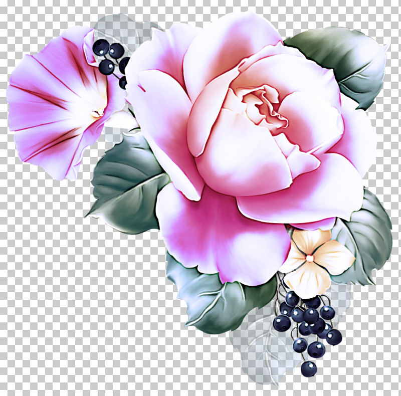 Rose PNG, Clipart, Bouquet, Cut Flowers, Flower, Petal, Pink Free PNG Download