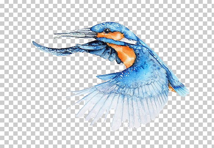 Bird Watercolor Painting Architect Illustrator PNG, Clipart, Angel Wing, Angel Wings, Architect, Architecture, Art Free PNG Download