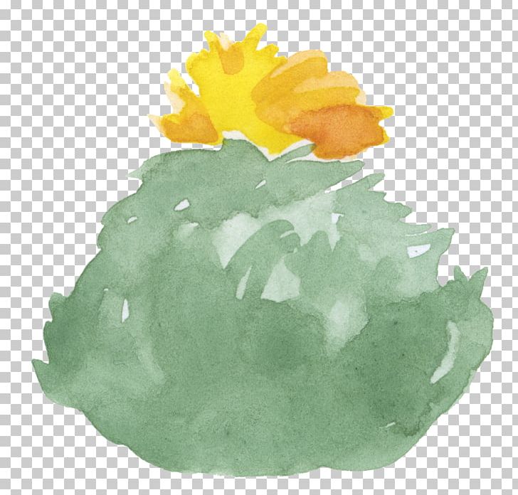 Cactaceae Watercolor Painting PNG, Clipart, Cactus, Cactus Cartoon, Cactus Flower, Cactus Vector, Cactus Watercolor Free PNG Download