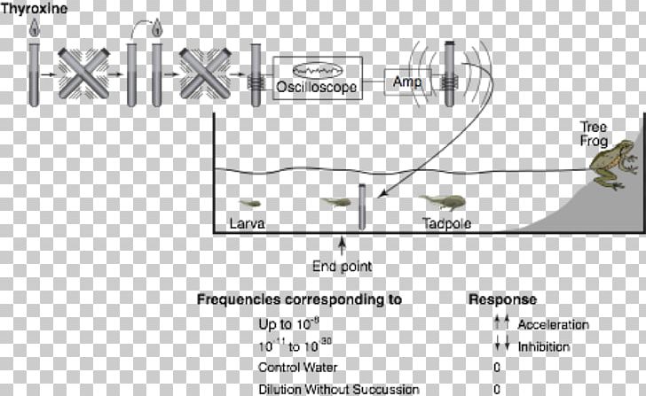 Car Line Angle Technology Diagram PNG, Clipart, Angle, Area, Auto Part, Car, Diagram Free PNG Download