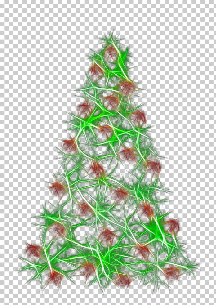 Christmas Tree Christmas Ornament Pine PNG, Clipart, Abies Firma, Branch, Christmas, Christmas Decoration, Christmas Ornament Free PNG Download