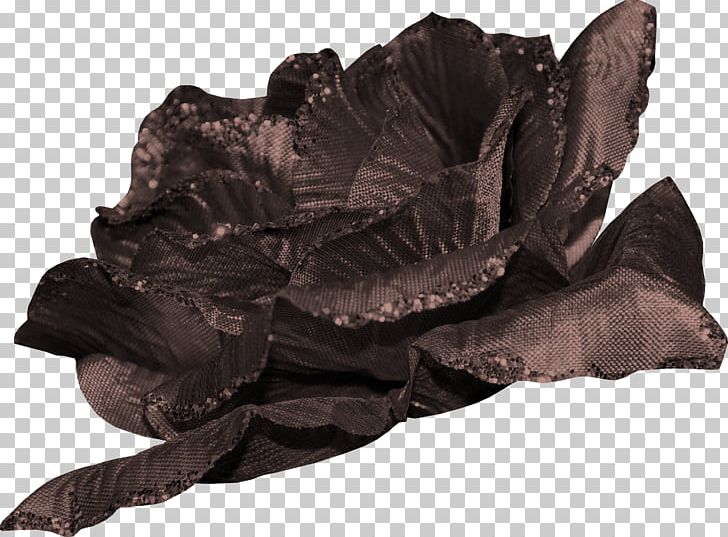 Flower Bouquet PNG, Clipart, Arrangement, Baby Clothes, Background Black, Black, Black Background Free PNG Download