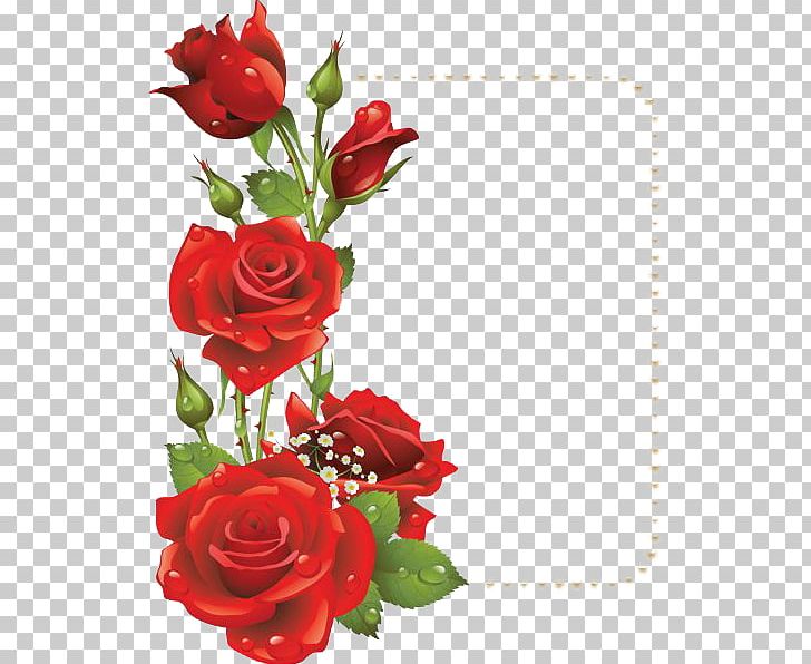 Frames Flower Rose PNG, Clipart,  Free PNG Download