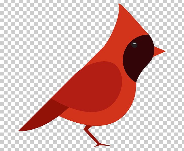 European Robin Bird Northern Cardinal Drawing PNG, Clipart, Animals, Beak, Bird, Bird Vector, Cardinal Free PNG Download