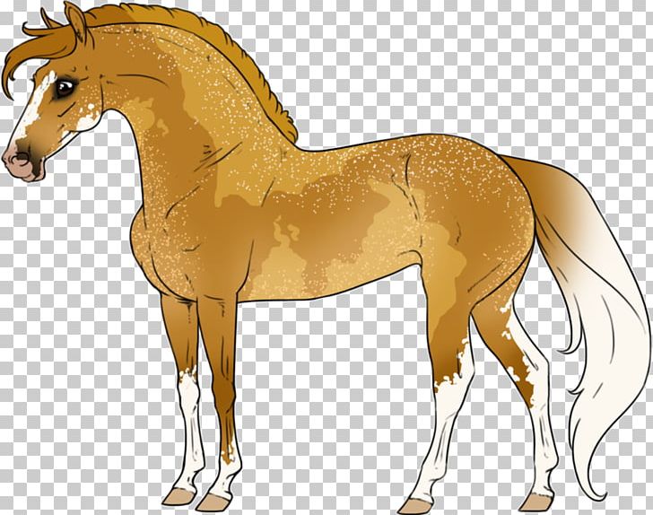 Mane Foal Stallion Colt Mustang PNG, Clipart, Animal, Animal Figure, Bridle, Charley Horse, Colt Free PNG Download