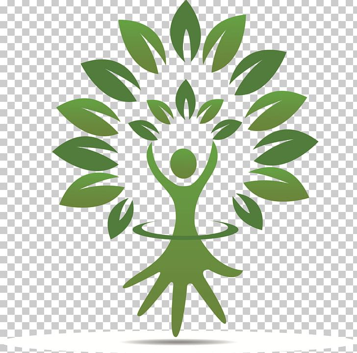 Leaf Branch Logo PNG, Clipart, Branch, Drawing, Flora, Flower, Flowering Plant Free PNG Download