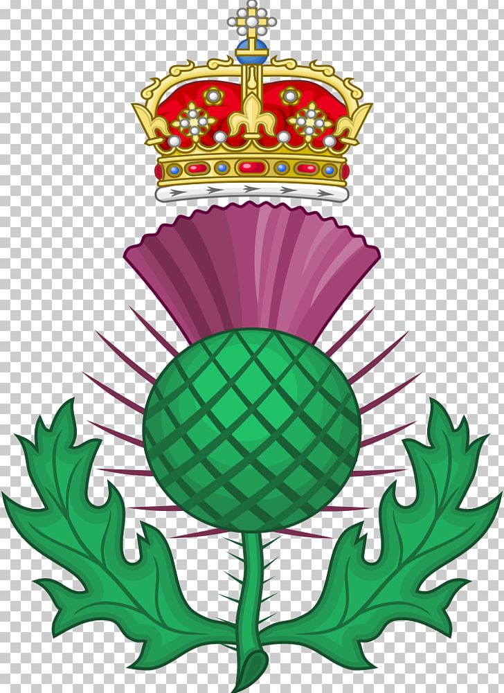 National Symbols Of Scotland Thistle PNG, Clipart, Artwork, Culture, Flag Of Scotland, Flower, Flowering Plant Free PNG Download