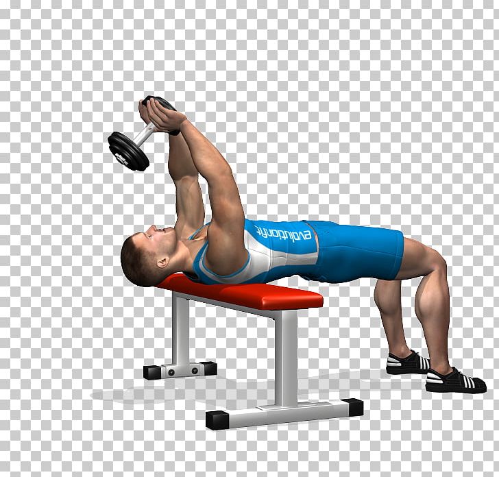 Weight Training Bench Dumbbell Pullover Pectoralis Major PNG, Clipart, Abdomen, Arm, Balance, Bench, Crunch Free PNG Download
