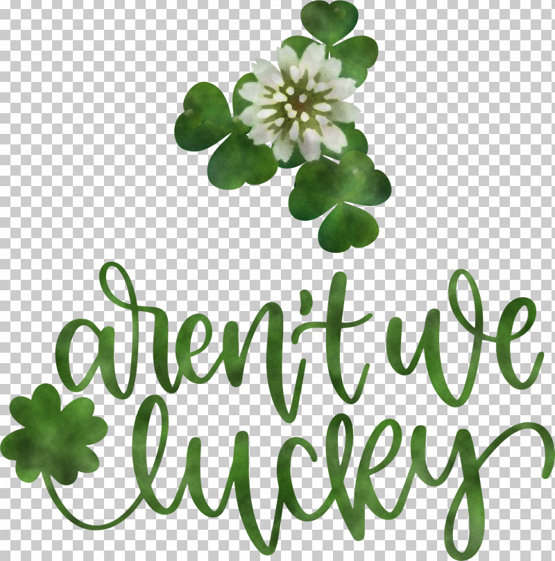 St Patricks Day Saint Patrick Quote PNG, Clipart, Cut Flowers, Floral Design, Flower, Green, Herbal Medicine Free PNG Download