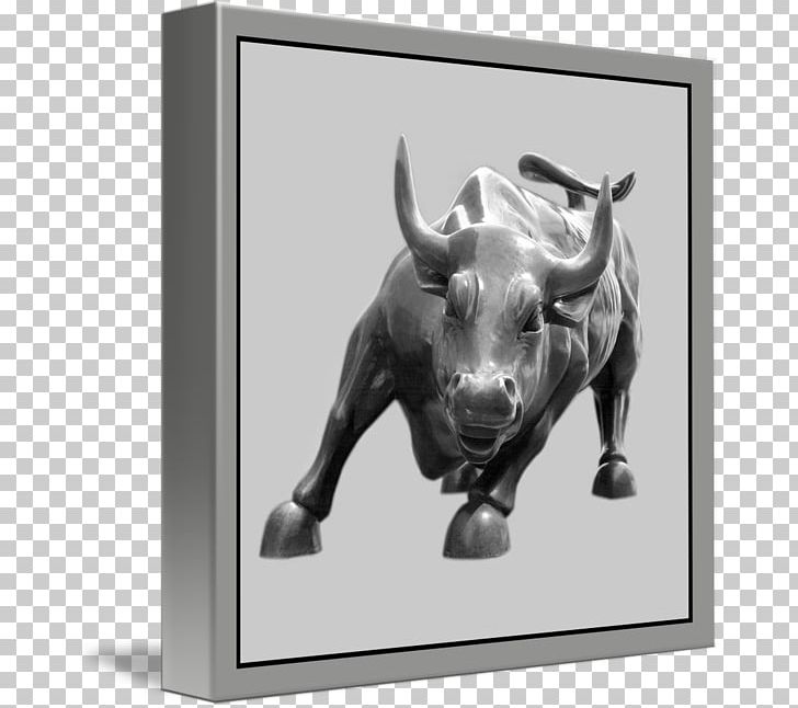 Bull Cattle Frames Snout PNG, Clipart, Animals, Black And White, Bull, Cattle, Cattle Like Mammal Free PNG Download