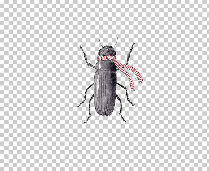 Drawing A Book Of Nonsense Cartoon Illustration PNG, Clipart, Animals, Art, Black, Black Bug, Cartoon Arms Free PNG Download