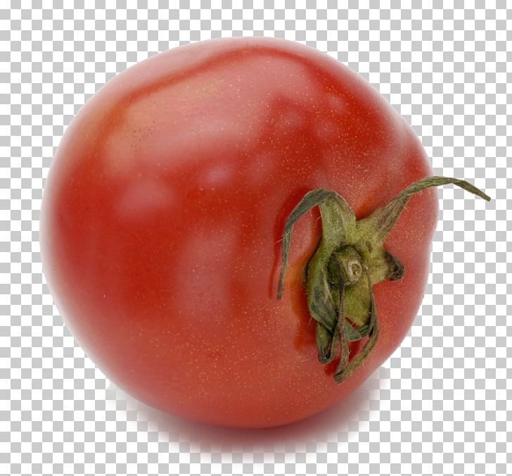 Plum Tomato Ku014denji Waniz Hall Bush Tomato PNG, Clipart, Bush Tomato, Cherry Tomato, Food, Fruit, Natural Foods Free PNG Download