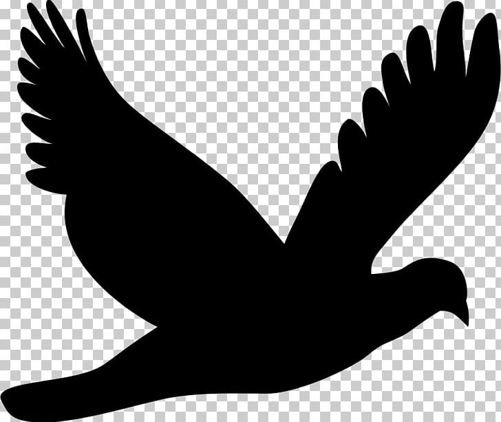 Columbidae Silhouette PNG, Clipart, Animals, Beak, Bird, Black And White, Columbidae Free PNG Download