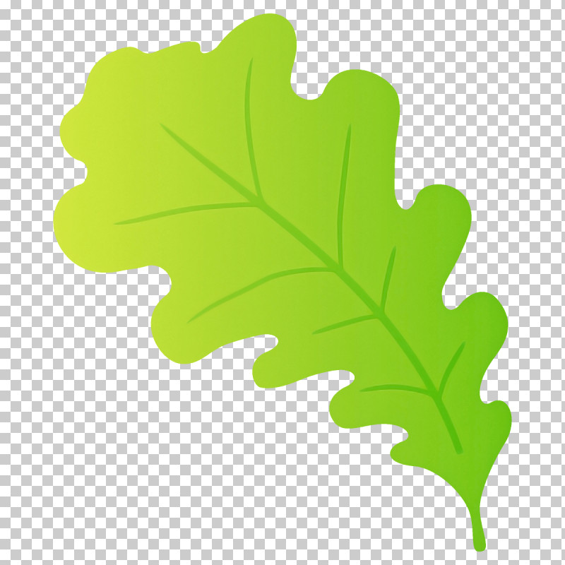 Plane PNG, Clipart, Flower, Green, Leaf, Plane, Plant Free PNG Download