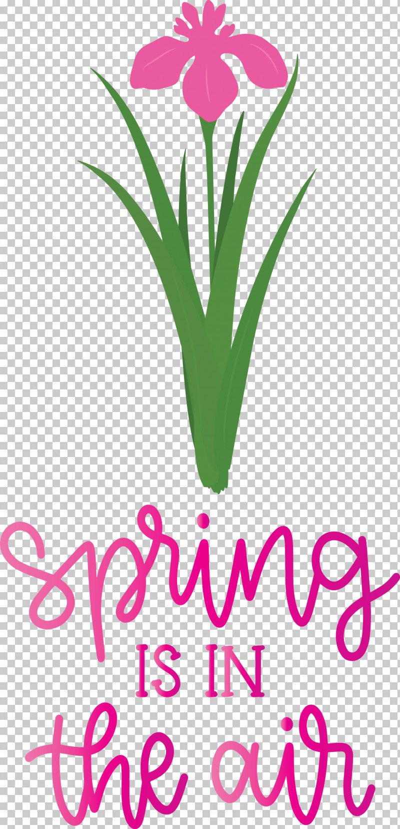 Spring Is In The Air Spring PNG, Clipart, Cut Flowers, Flora, Floral Design, Flower, Logo Free PNG Download