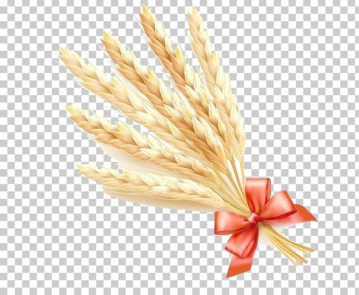 Common Wheat Ear Cereal PNG, Clipart, Balloon Cartoon, Barley, Boy Cartoon, Cartoon, Cartoon Character Free PNG Download