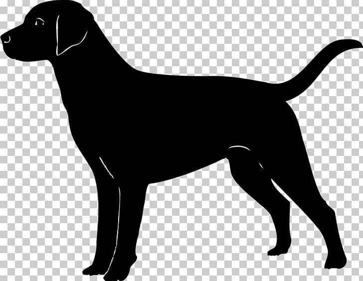 Labrador Retriever Golden Retriever Puppy PNG, Clipart, Animals, Black, Black And White, Breed, Bulldog Free PNG Download