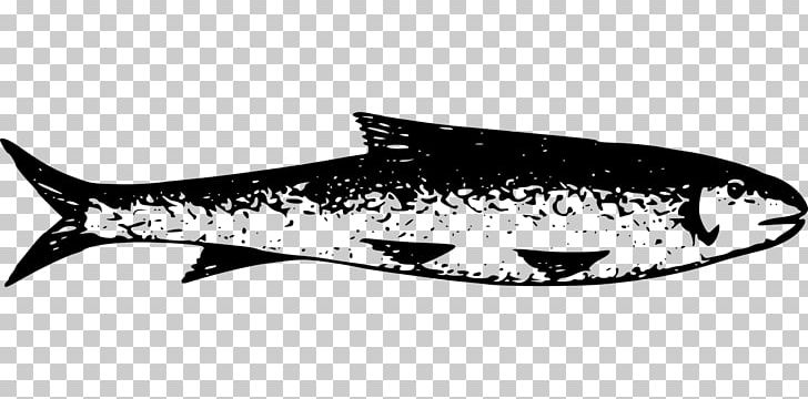 Lake Tanganyika Lake Titicaca PNG, Clipart, Africa, Animal, Black And White, Cartilaginous Fish, Digital Image Free PNG Download