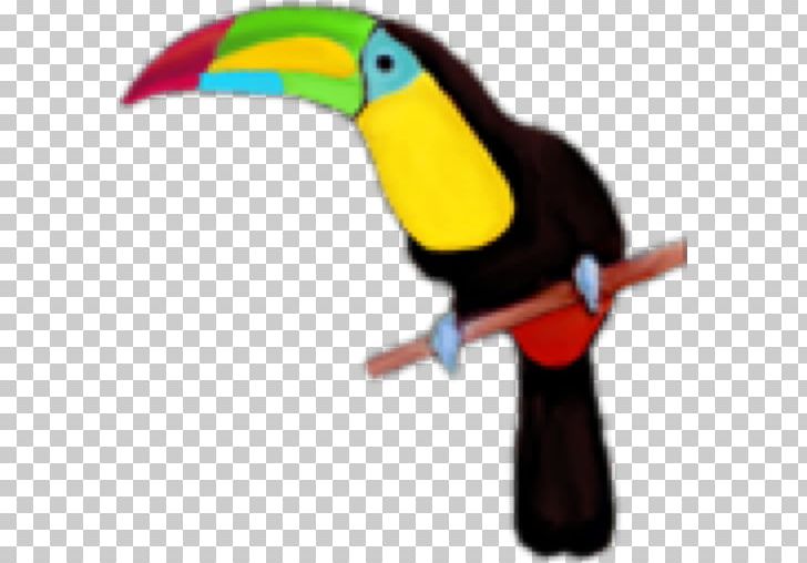 Toco Toucan CodeIgniter Libraries.io Computer Software PNG, Clipart, Beak, Bird, Codeigniter, Computer Software, Data Free PNG Download