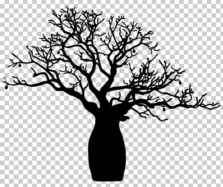 Adansonia Gregorii Tree Drawing Crochet PNG, Clipart, Adansonia Gregorii, Baobab, Black And White, Branch, Bushes Free PNG Download