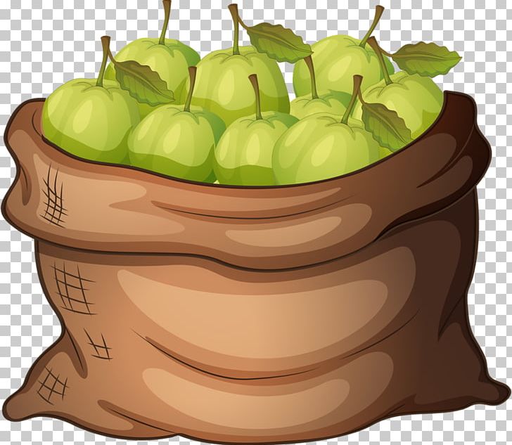 Guava PNG, Clipart, Apple Fruit, Bag, Computer Icons, Drawing, Food Free PNG Download