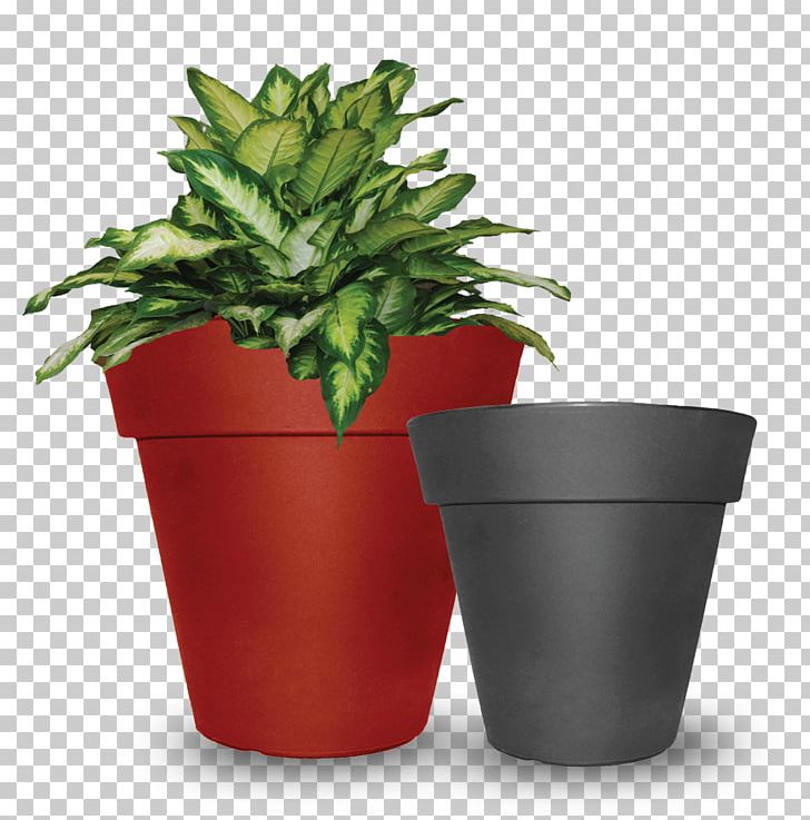 Flowerpot Tusco Products Saucer Houseplant PNG, Clipart, Com, Flexibility, Flower, Flowerpot, Herb Free PNG Download