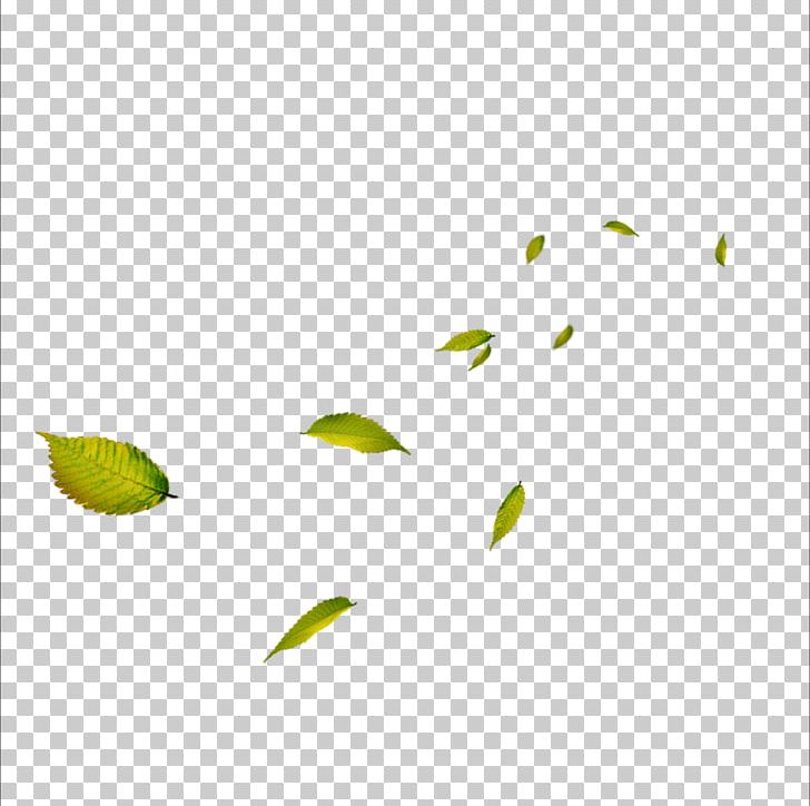 Leaf Google S PNG, Clipart, Angle, Autumn Leaf, Download, Encapsulated Postscript, Euclidean Vector Free PNG Download